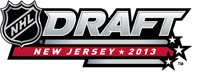 NHL Draft 2013 Alternate Logo t shirts iron on transfers